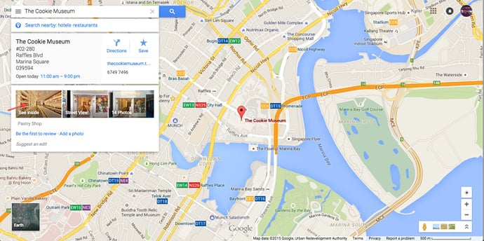 your business on Google view in visible one